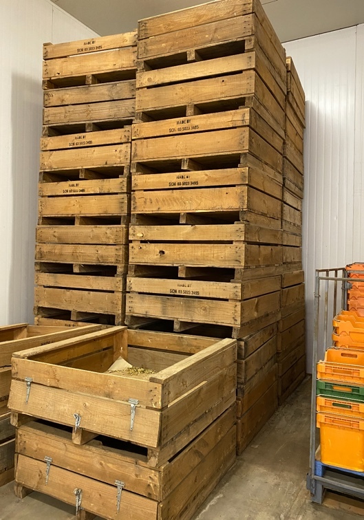 55 x Wooden Fruit Bins Farm Tender